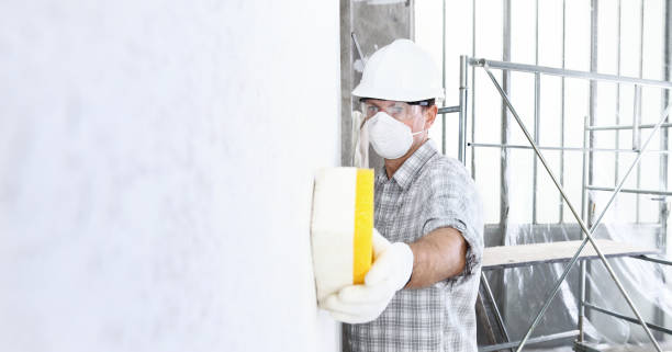 Mold Documentation for Insurance Claims in Brownwood, TX