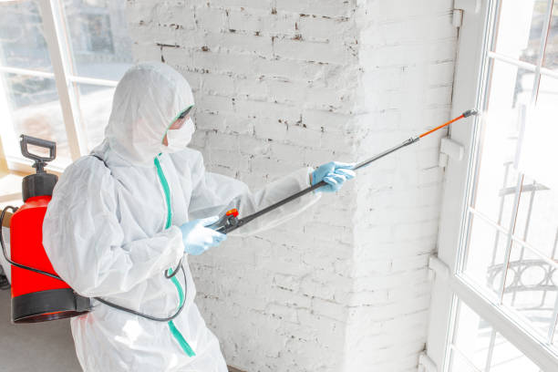 Best Mold Removal for HVAC Installations  in Brownwood, TX